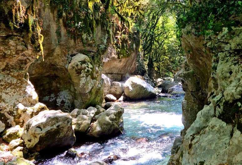 escursione oasi wwf morigerato
